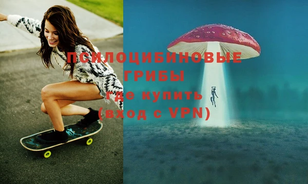 шишки Магадан