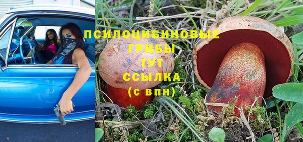 метадон Липки