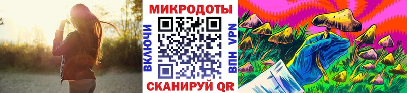 Галлюциногенные грибы мухоморы  сайты даркнета телеграм  Поворино  магазин продажи наркотиков 